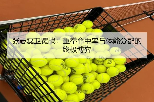 张志磊卫冕战：重拳命中率与体能分配的终极博弈