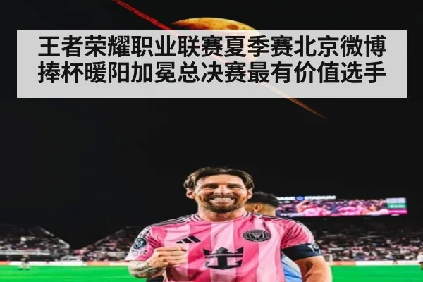 王者荣耀职业联赛夏季赛北京微博捧杯暖阳加冕总决赛最有价值选手